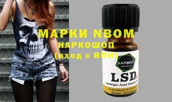 бошки Алексин