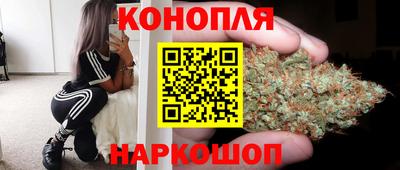 стафф Гусев