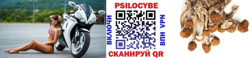 Галлюциногенные грибы Psilocybine cubensis  KRAKEN зеркало  Курган 