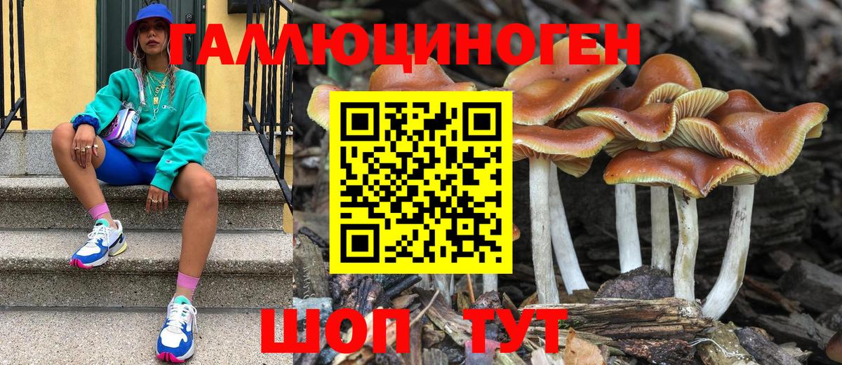 Псилоцибиновые грибы мицелий  Вход с VPN  Галлюциногенные грибы Magic Shrooms  Курган 