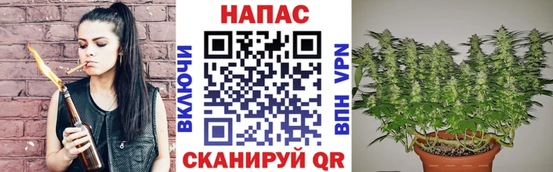 OMG зеркало  Курган  МАРИХУАНА LSD WEED 